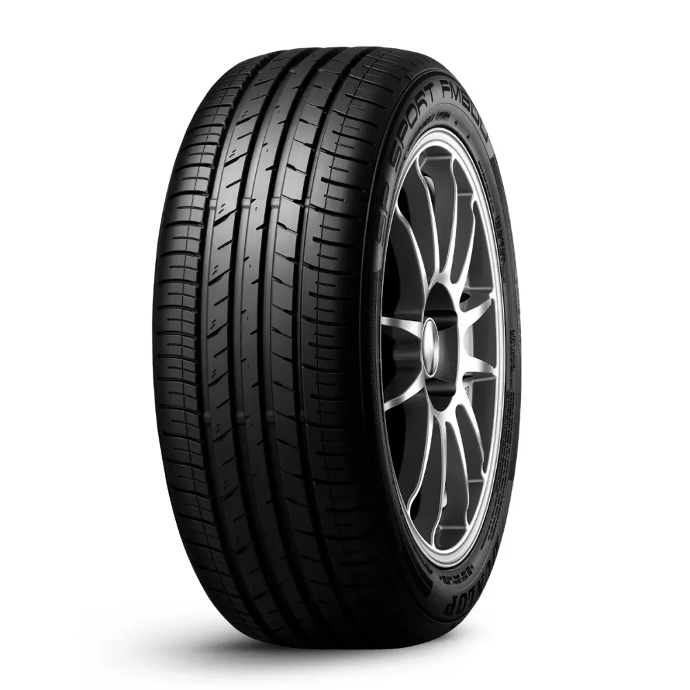 Pneu Dunlop DZ102 205/55 R16 91V