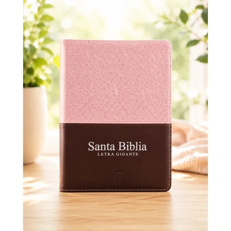 Santa Biblia RVR 1960 Letra Gigante · Rosa y Marrón
