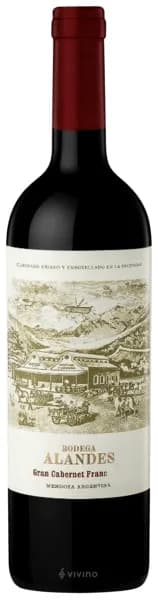 Vino Alandes Gran Cabernet Franc 750 ml