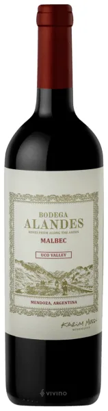 Vino Bodega Alandes Malbec 750 ml