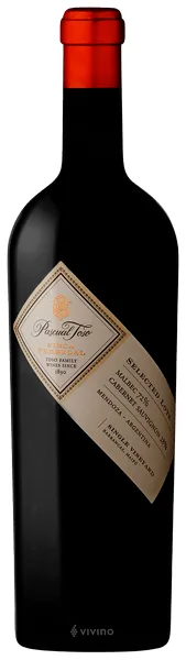 Vino Pascual Toso Finca Pedregal Single Vineyard Malbec – Cabernet Sauvignon 750 ml