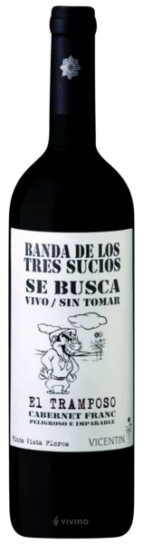Vino Vicentin El Tramposo Cabernet Franc 750 ml