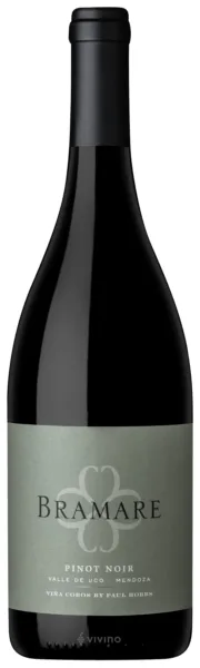 Vino Viña Cobos Bramare Pinot Noir 750 ml