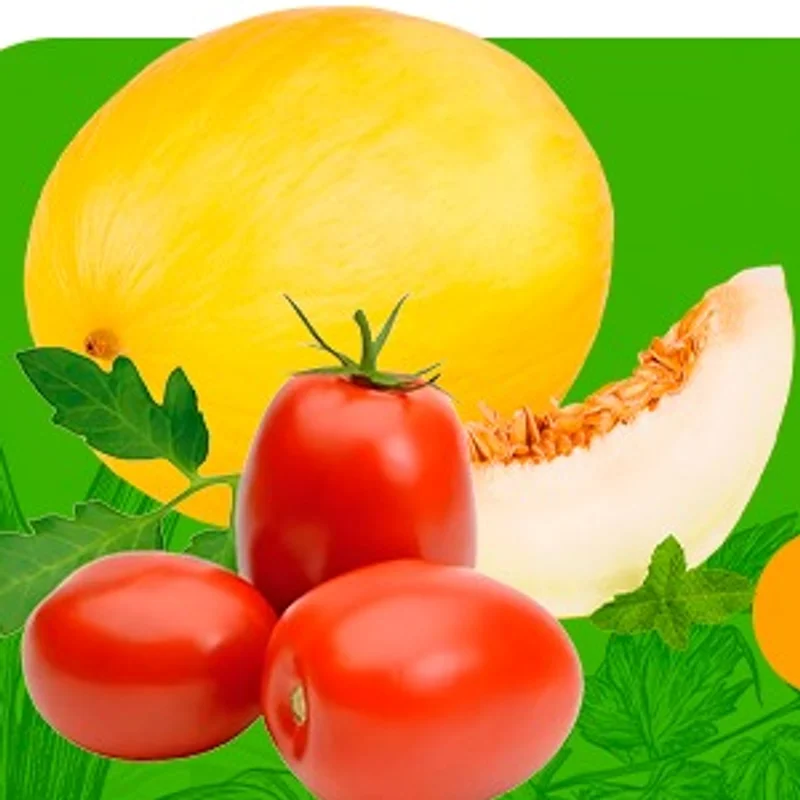 Tomate saladete ou melão espanhol kg