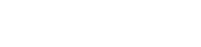 Irigoyen Online